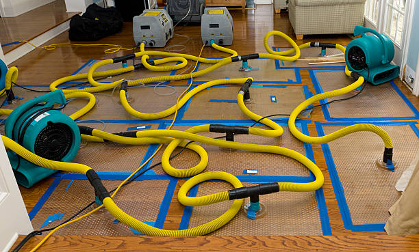 Professional Sewage Cleanup technician working in Racine, MN